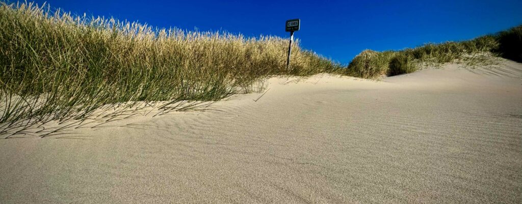 Klittens dag 2026 er den 19. september – skriv det i din kalender nu!